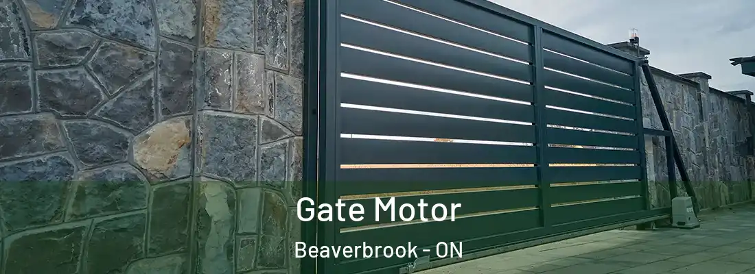  Gate Motor Beaverbrook - ON