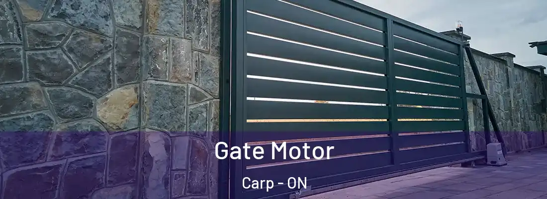  Gate Motor Carp - ON
