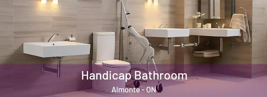  Handicap Bathroom Almonte - ON