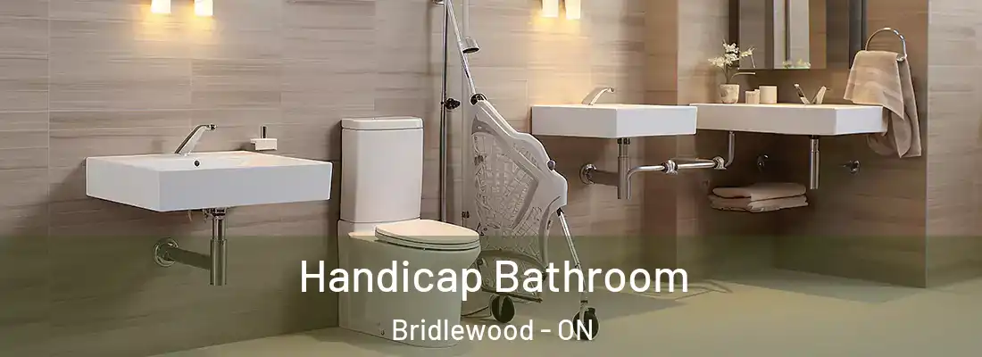  Handicap Bathroom Bridlewood - ON