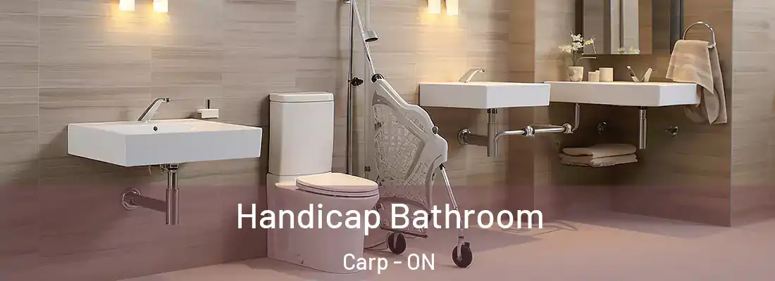  Handicap Bathroom Carp - ON