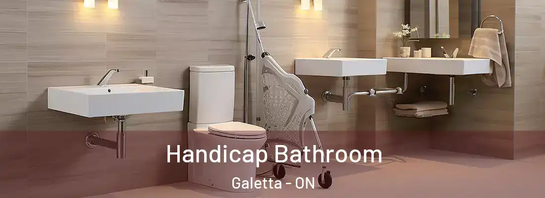  Handicap Bathroom Galetta - ON