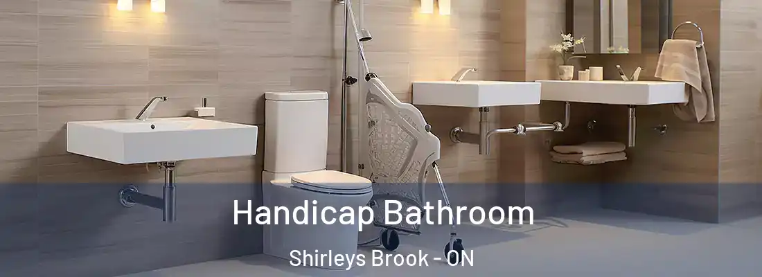  Handicap Bathroom Shirleys Brook - ON