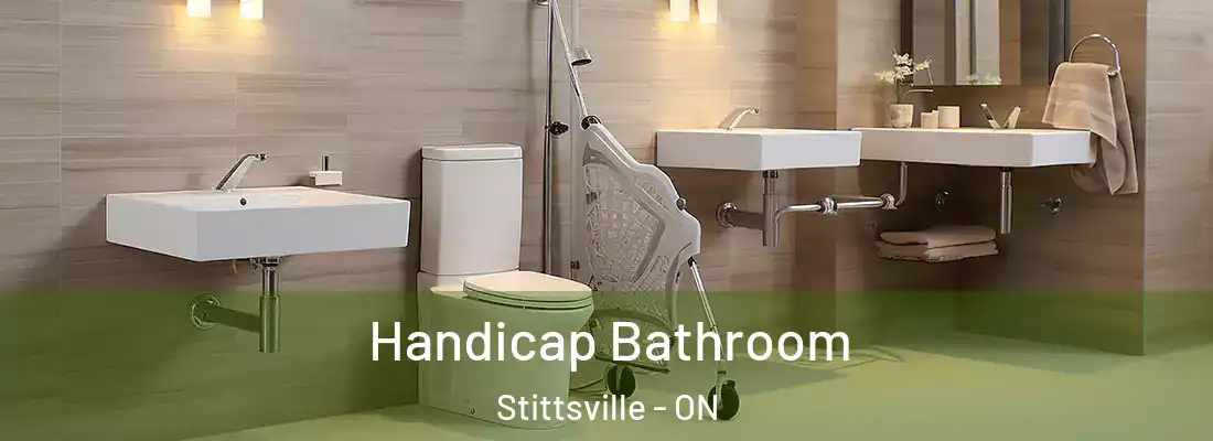  Handicap Bathroom Stittsville - ON