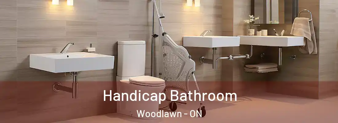  Handicap Bathroom Woodlawn - ON