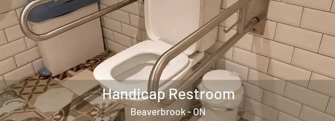  Handicap Restroom Beaverbrook - ON
