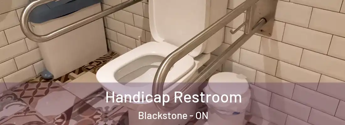  Handicap Restroom Blackstone - ON