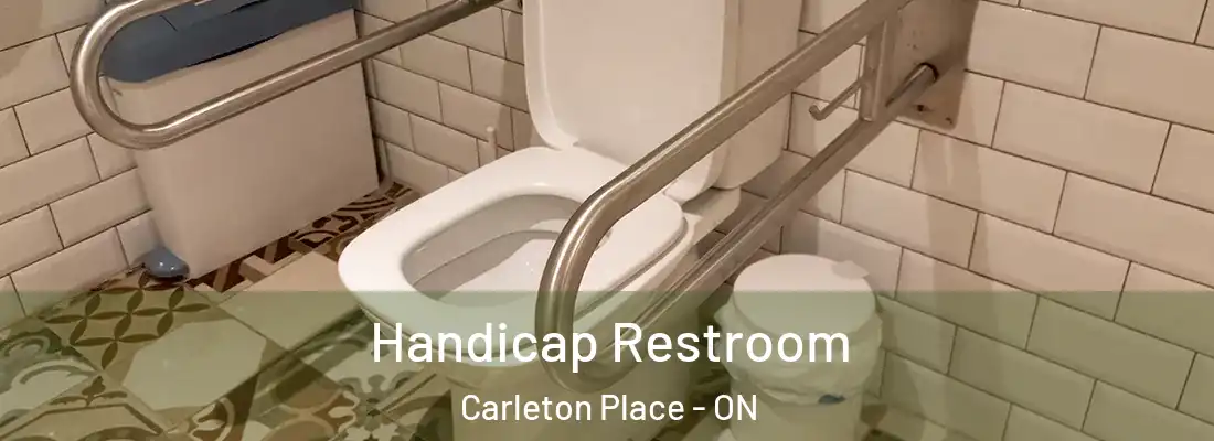  Handicap Restroom Carleton Place - ON