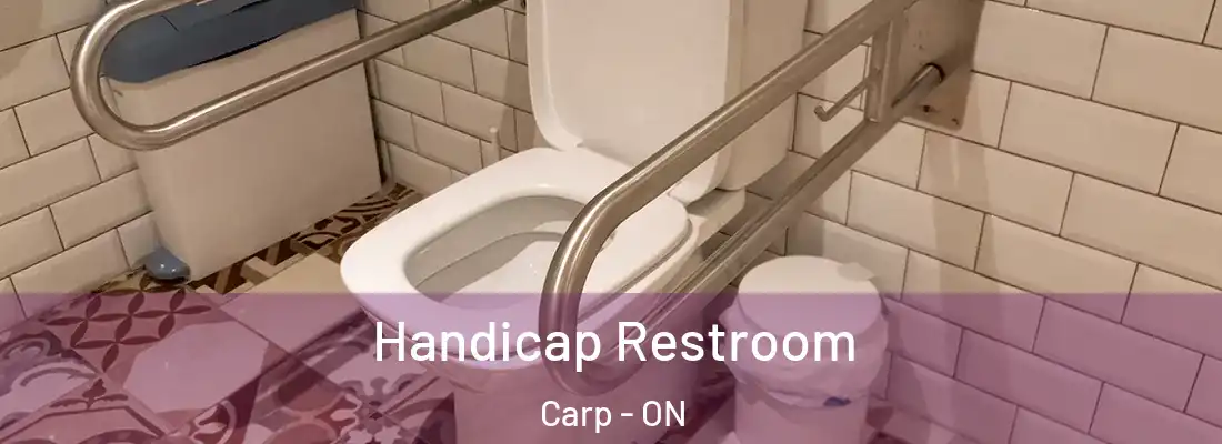  Handicap Restroom Carp - ON