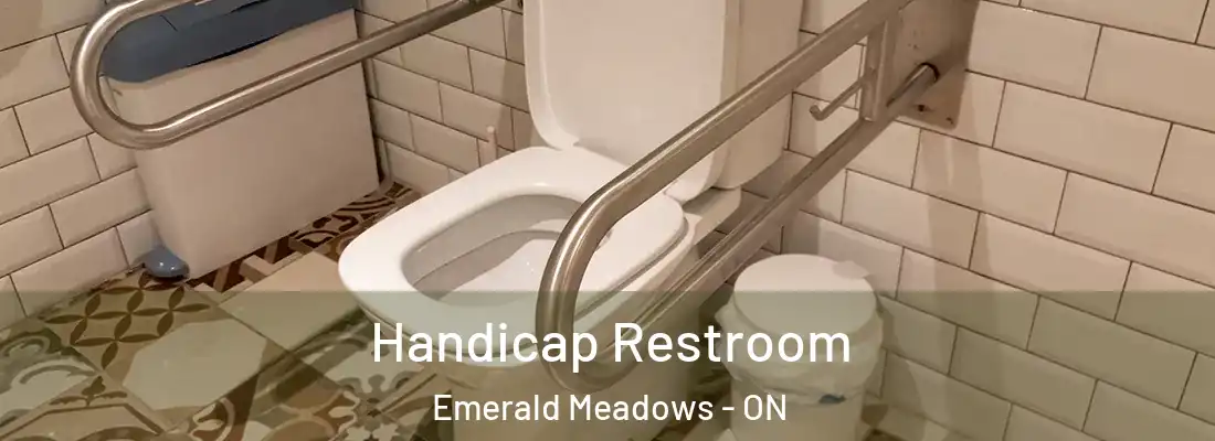  Handicap Restroom Emerald Meadows - ON