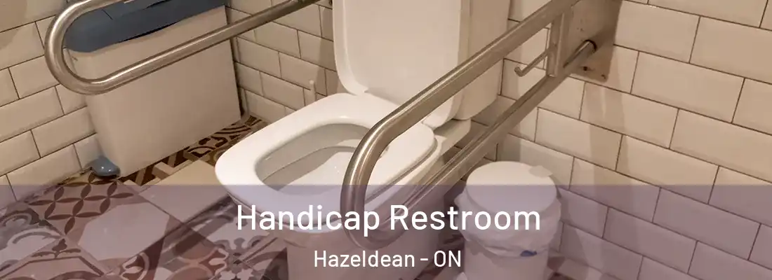  Handicap Restroom Hazeldean - ON