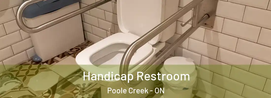  Handicap Restroom Poole Creek - ON