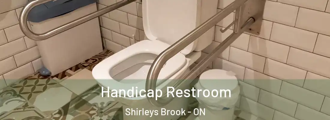  Handicap Restroom Shirleys Brook - ON