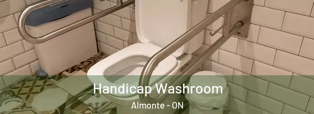  Handicap Washroom Almonte - ON