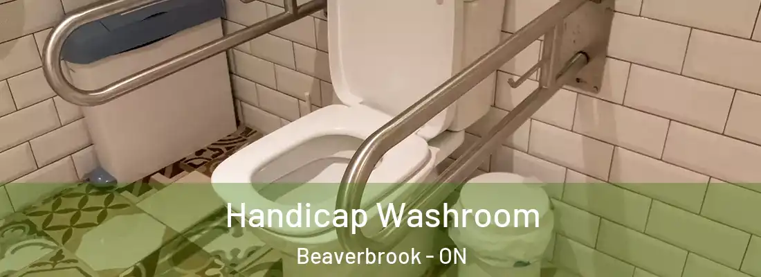  Handicap Washroom Beaverbrook - ON