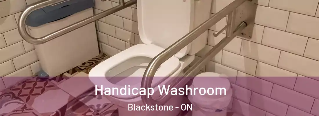  Handicap Washroom Blackstone - ON