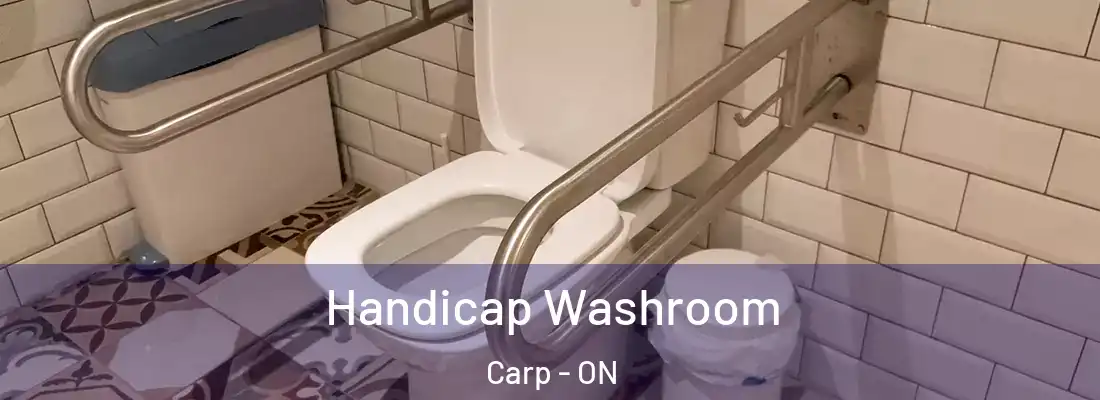  Handicap Washroom Carp - ON