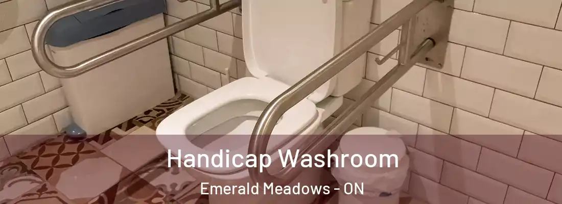  Handicap Washroom Emerald Meadows - ON