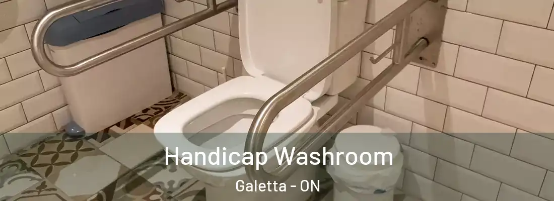  Handicap Washroom Galetta - ON