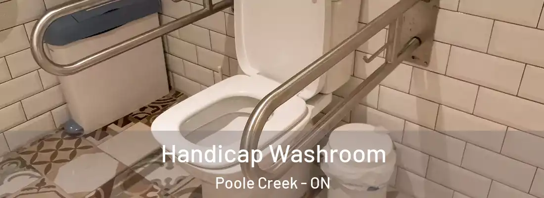  Handicap Washroom Poole Creek - ON