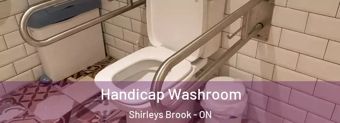  Handicap Washroom Shirleys Brook - ON