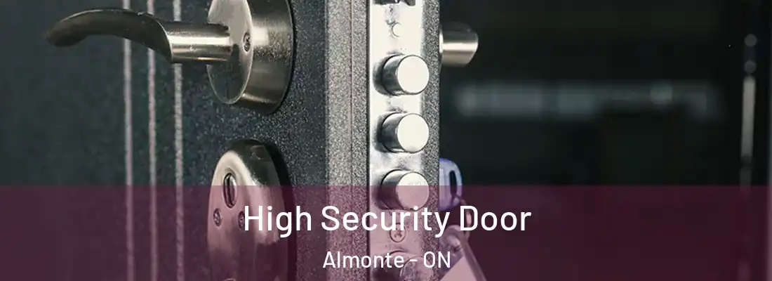  High Security Door Almonte - ON
