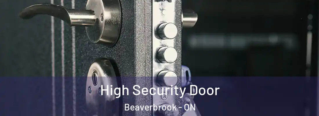  High Security Door Beaverbrook - ON