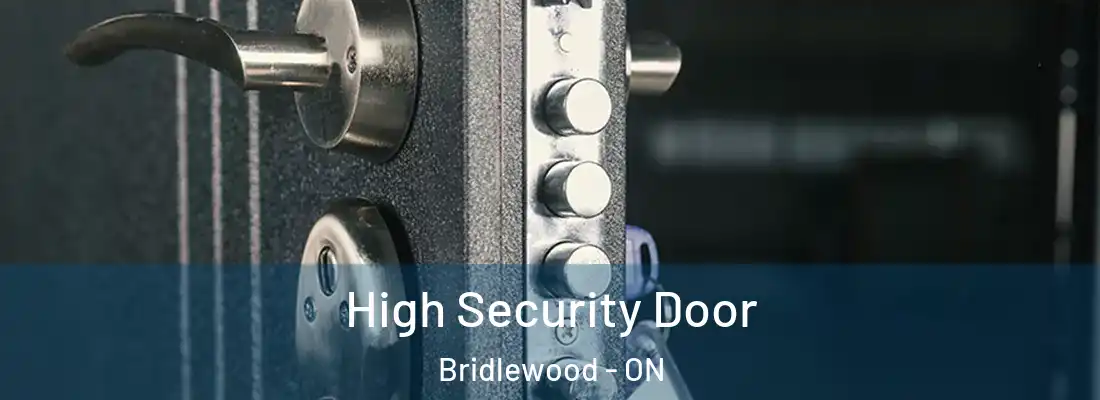  High Security Door Bridlewood - ON