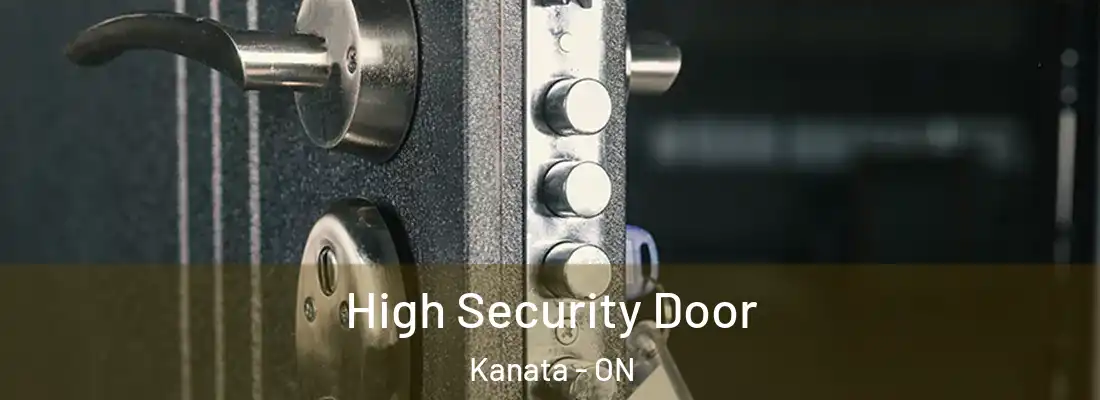  High Security Door Kanata - ON