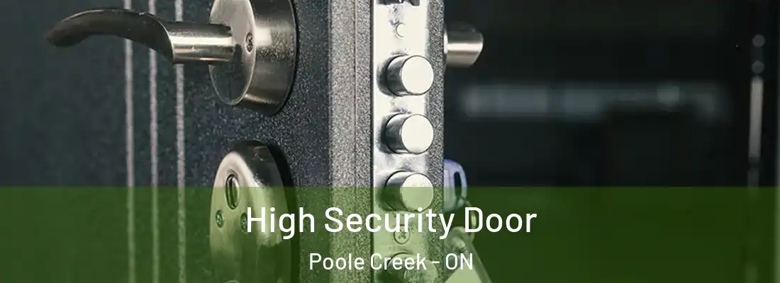  High Security Door Poole Creek - ON