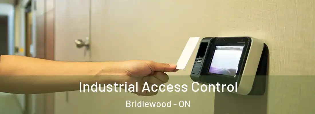  Industrial Access Control Bridlewood - ON