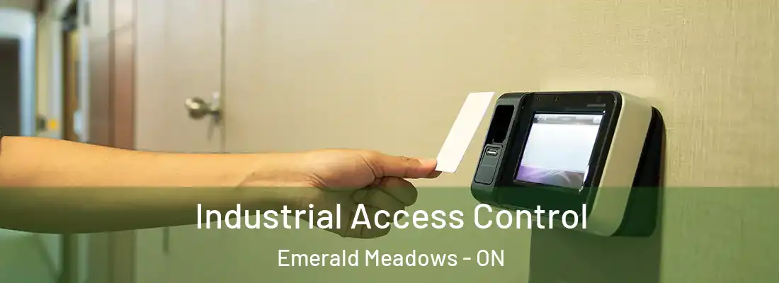 Industrial Access Control Emerald Meadows - ON