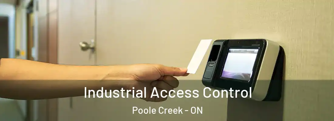  Industrial Access Control Poole Creek - ON