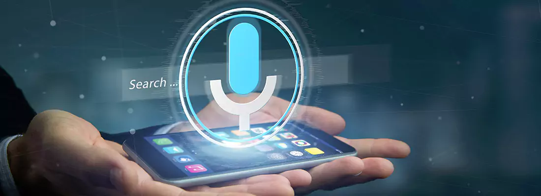 Enhance Security with Voice Recognition Access Systems in Blackstone, ON