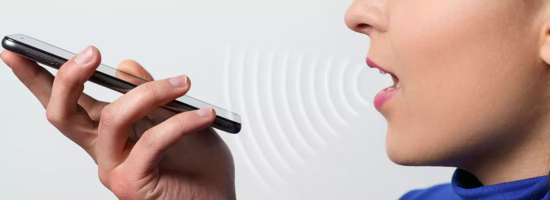 Residential and Commercial Voice Recognition Access Solutions in Blackstone, ON