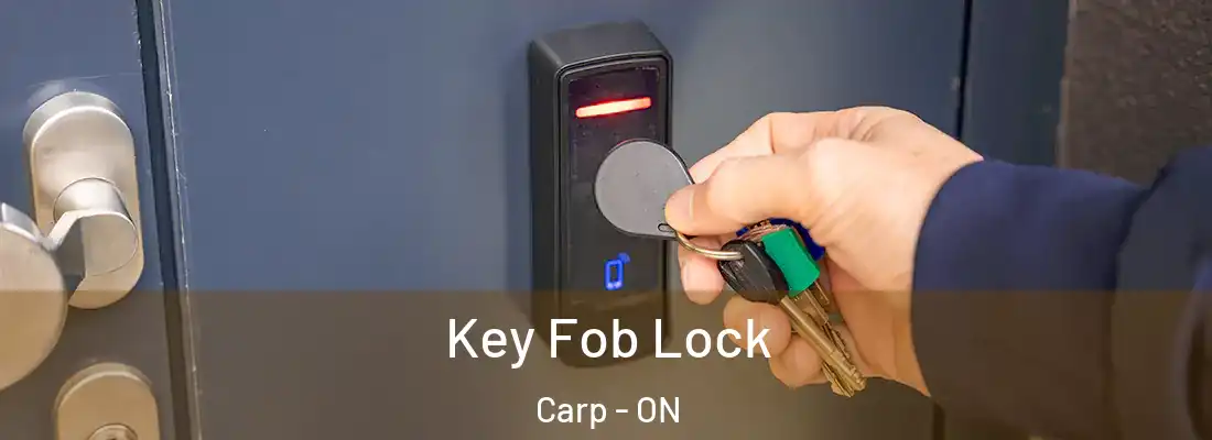  Key Fob Lock Carp - ON