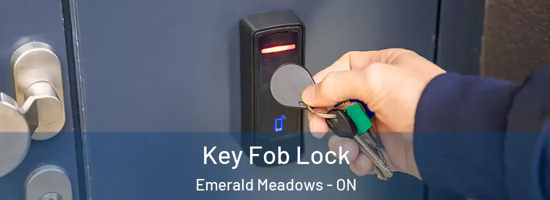  Key Fob Lock Emerald Meadows - ON