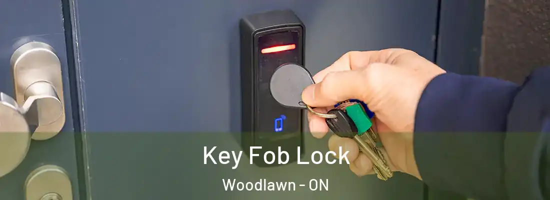  Key Fob Lock Woodlawn - ON