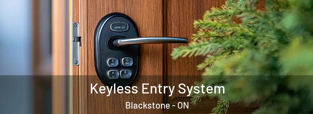  Keyless Entry System Blackstone - ON