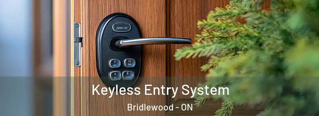  Keyless Entry System Bridlewood - ON