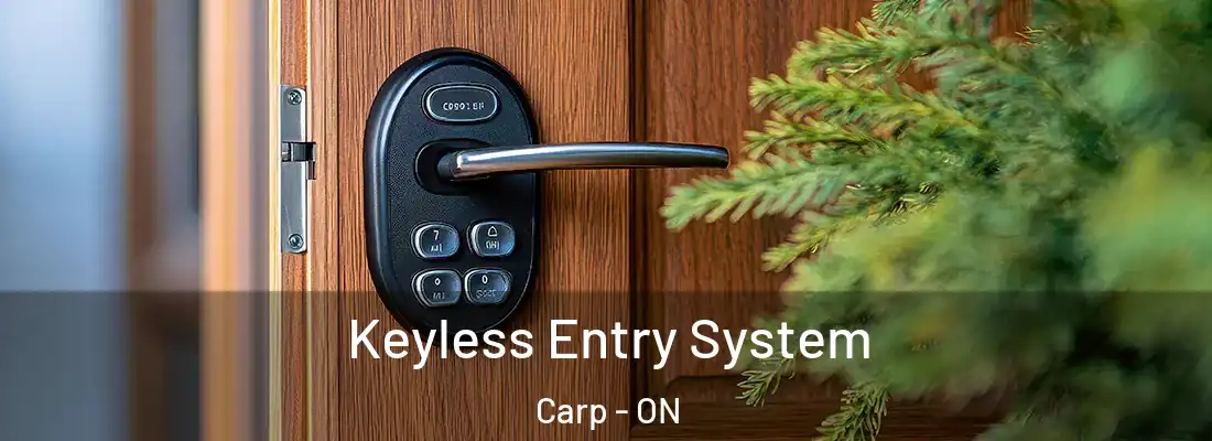  Keyless Entry System Carp - ON