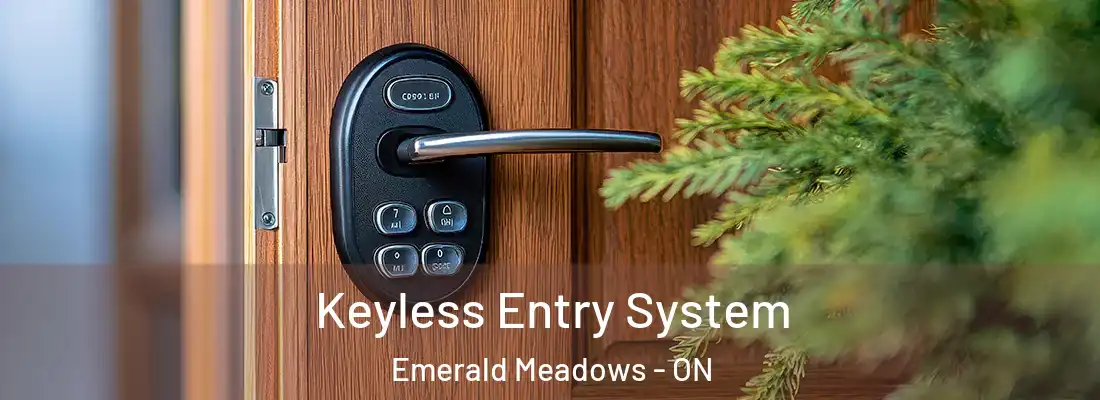  Keyless Entry System Emerald Meadows - ON