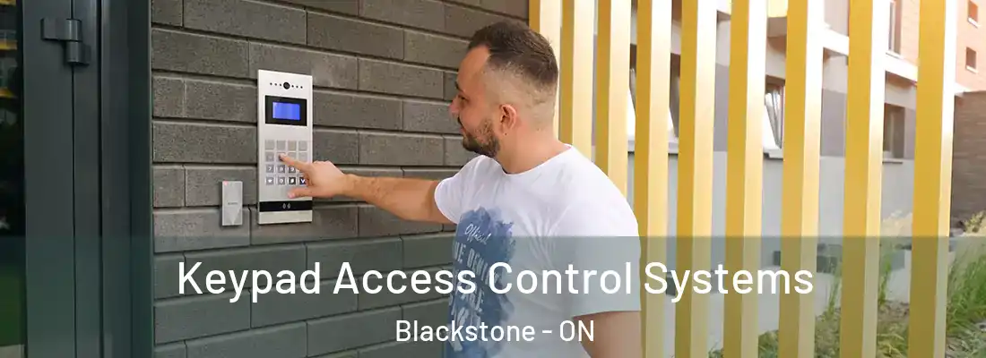  Keypad Access Control Systems Blackstone - ON