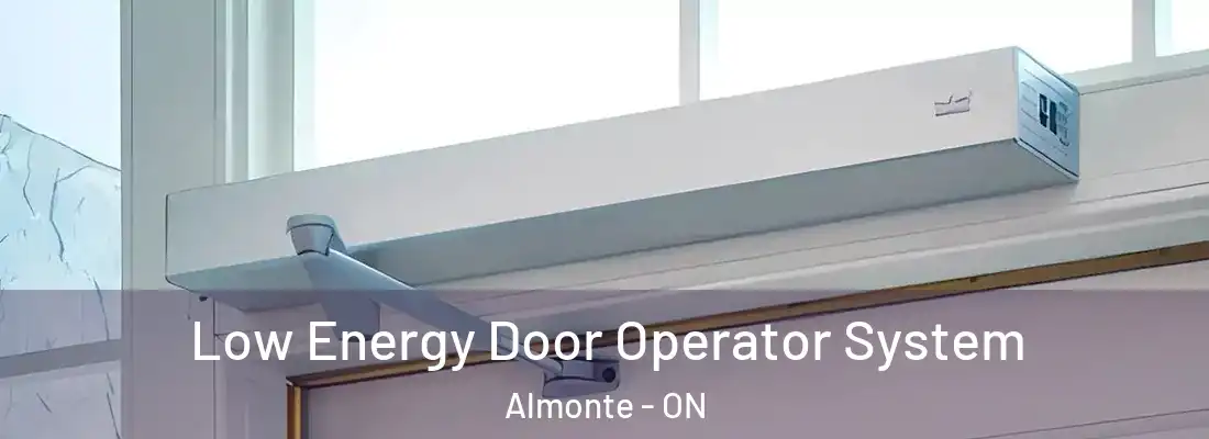  Low Energy Door Operator System Almonte - ON