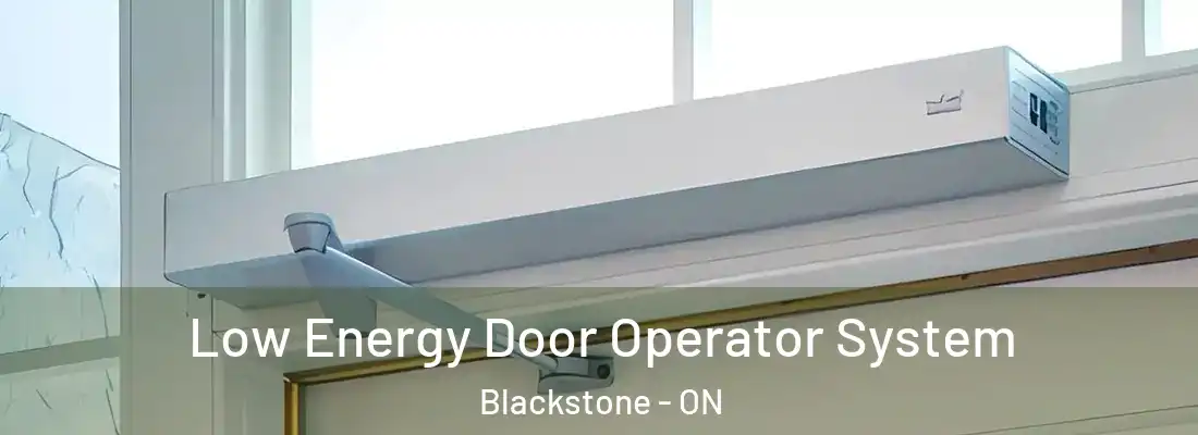  Low Energy Door Operator System Blackstone - ON