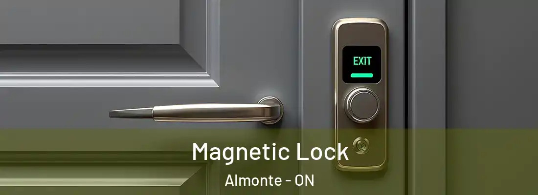 Magnetic Lock Almonte - ON
