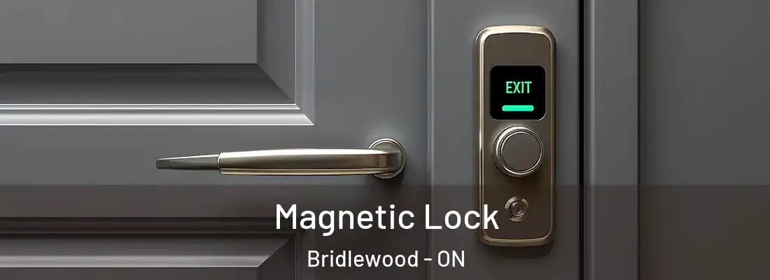  Magnetic Lock Bridlewood - ON