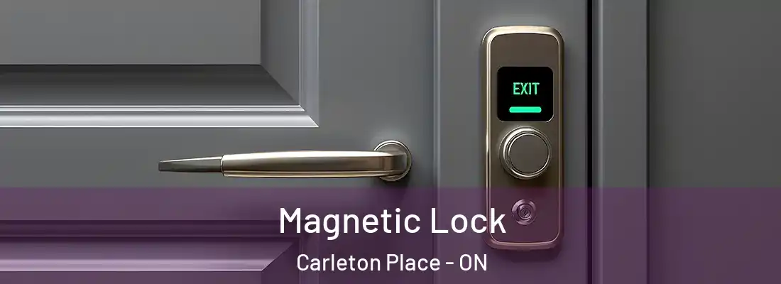 Magnetic Lock Carleton Place - ON