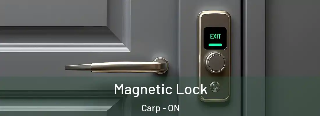  Magnetic Lock Carp - ON