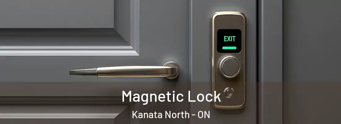  Magnetic Lock Kanata North - ON